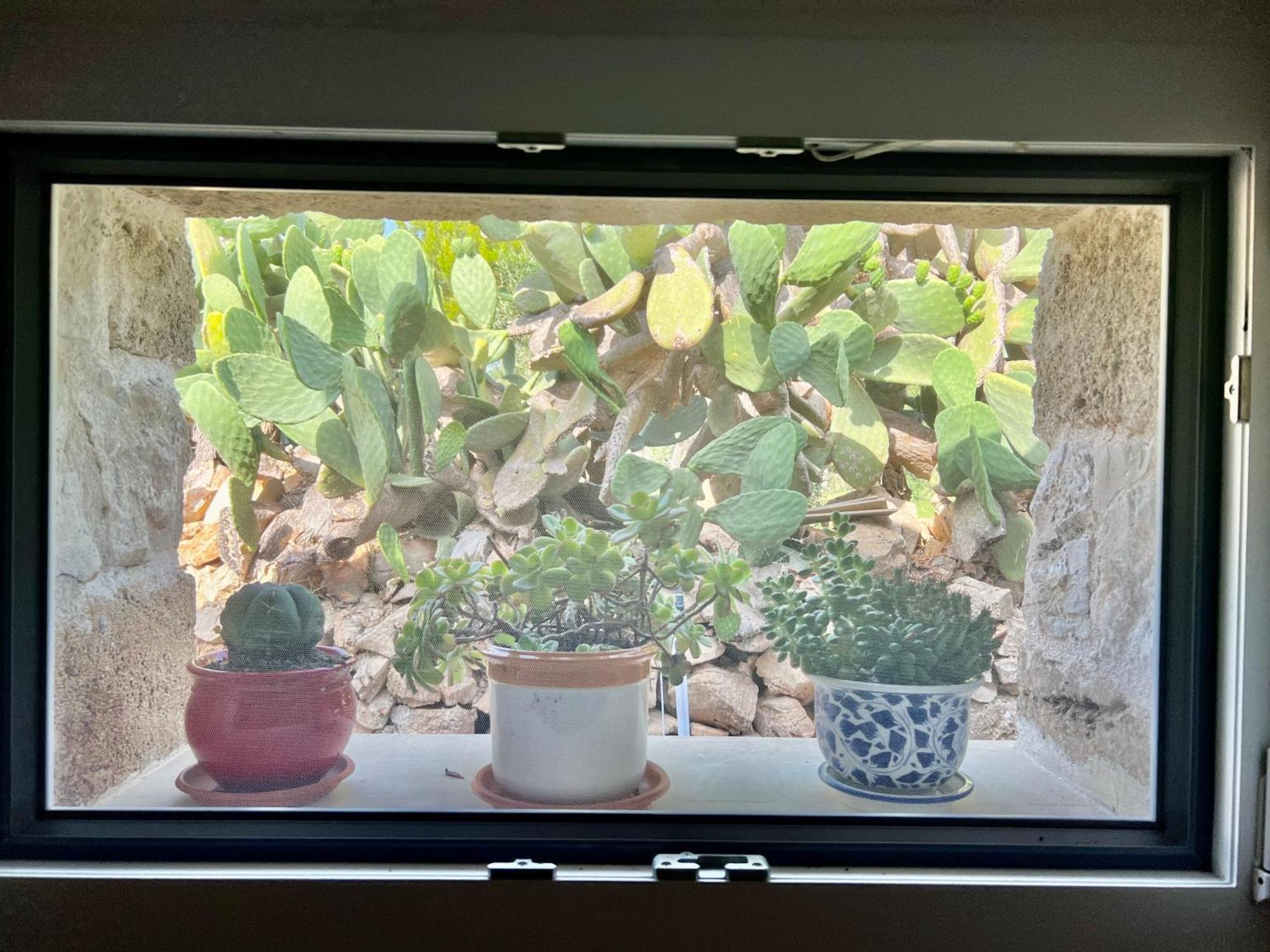 CapilungoTrulli Delle Succulente别墅 外观 照片